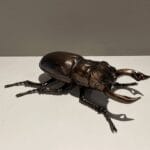 Kersten B.V. Ornament insect polyresin Decoratie Showroommodel 1